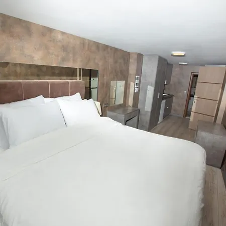 アパートホテル Gala Suites イスタンブール